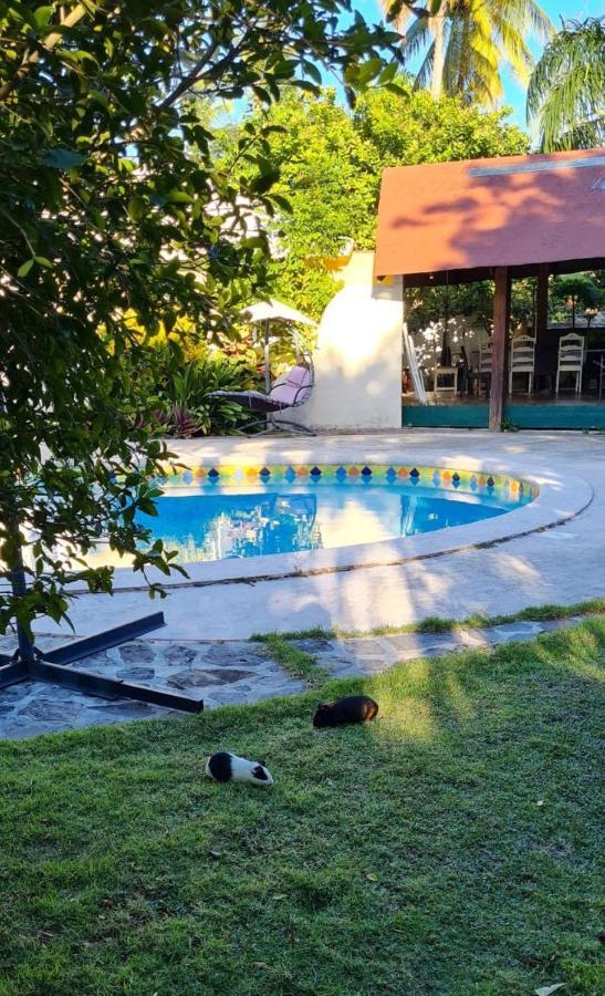 لاس تاريناس Villa Sonrisa Casa De Huespedes المظهر الخارجي الصورة